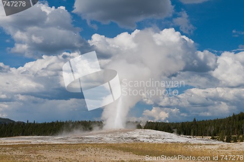 Image of Old Faithful