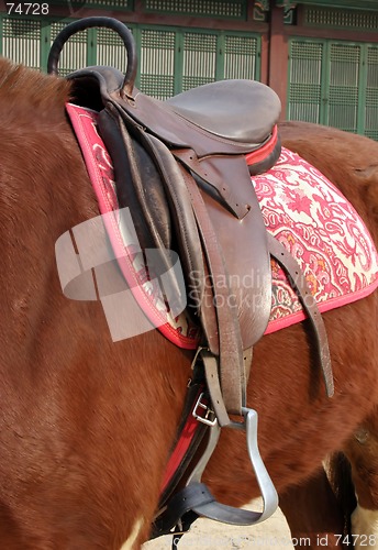 Image of Saddle up