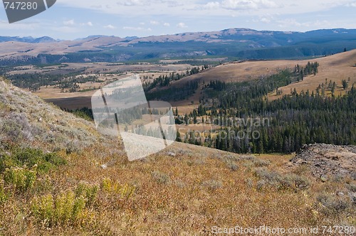 Image of Alpine meadow