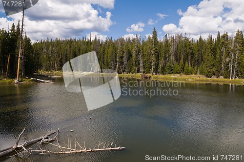 Image of West Thumb Basin