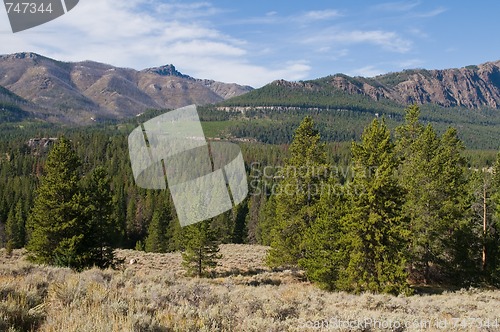 Image of Woods & mountains