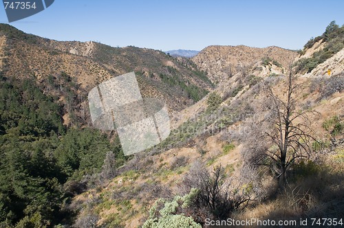 Image of Los Padres