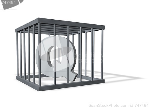 Image of big Q in a cage