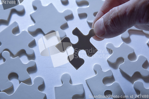 Image of Piece of the Puzzle