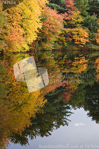 Image of Connecticut Autumn Foliage