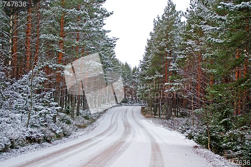 Image of Forest Road In Winter
