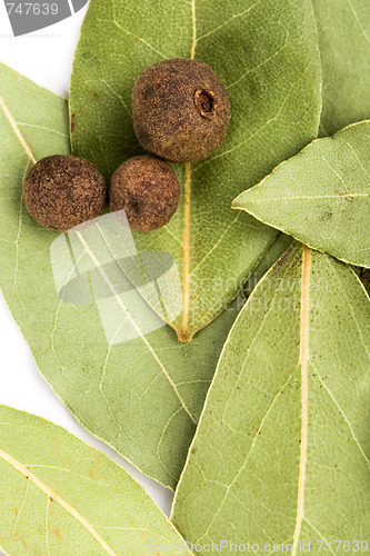 Image of bay leaves and black pepper