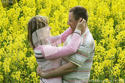 Image of Couple in flower meadow