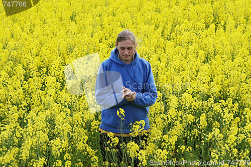 Image of Man in flower meadow