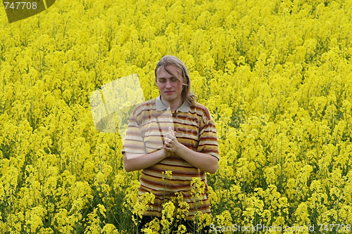 Image of Men in yellow flowers