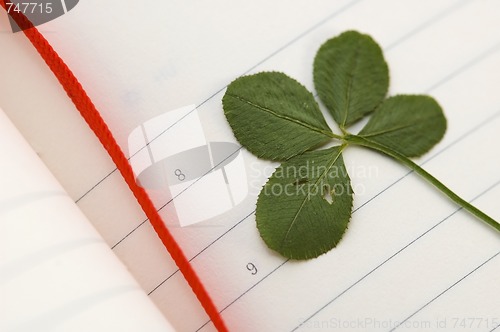 Image of Four Leaf Clover and New Day.