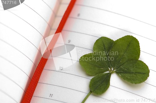 Image of Five Leaf Clover and New Day.