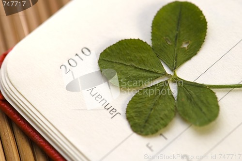 Image of Four Leaf Clover  and New Year. January 2010.
