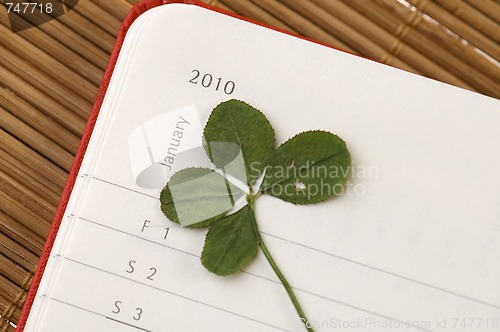 Image of Four Leaf Clover  and New Year. January 2010.