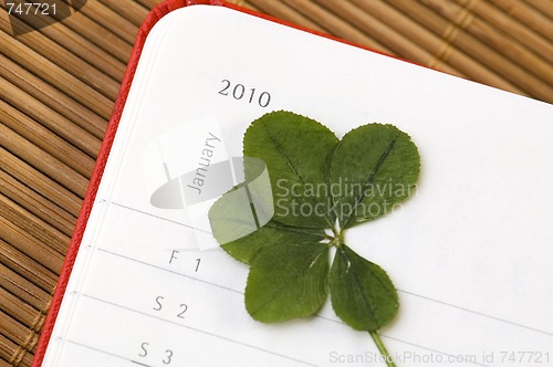 Image of Five Leaf Clover  and New Year. January 2010.