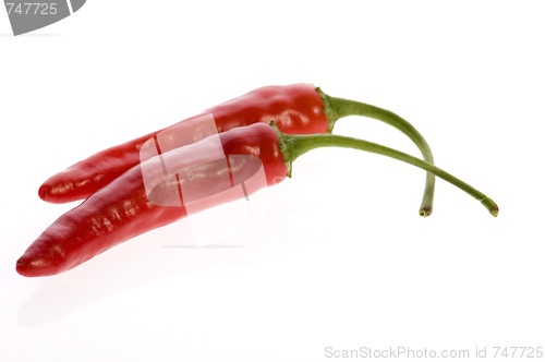 Image of Two red peppers isolated on white.