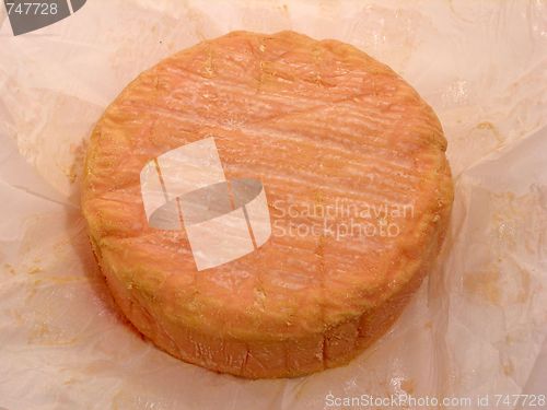 Image of cheese