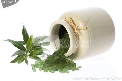 Image of fresh olive branch and bath salt. spa