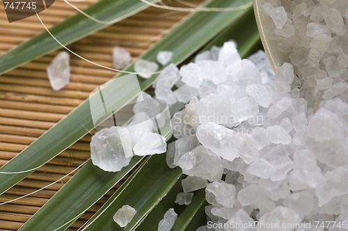 Image of bath salt and palm leaf