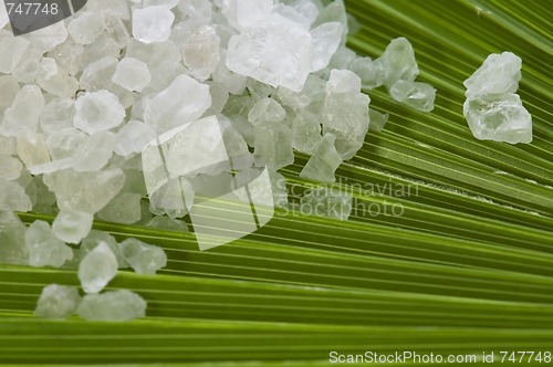Image of bath salt and palm leaf