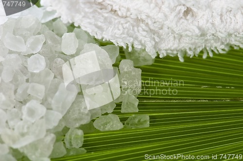 Image of bath salt and palm leaf