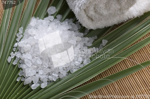 Image of bath salt and palm leaf