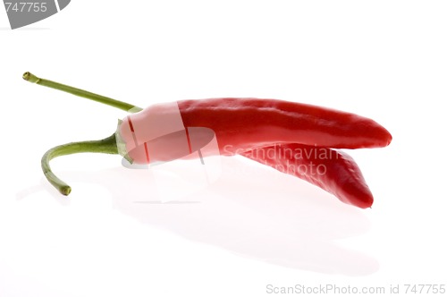 Image of hot chilli peppers isolated on white