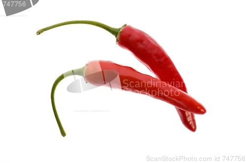 Image of hot chilli peppers isolated on white