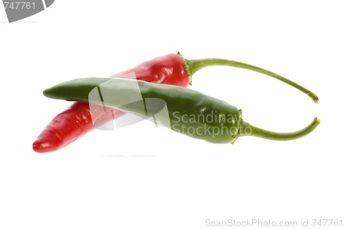 Image of hot chilli peppers isolated on white