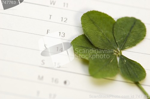 Image of Five Leaf Clover and 13 Friday