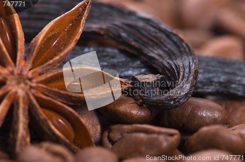 Image of aroma coffe. ingredients. coffe beens, anise, vanilla