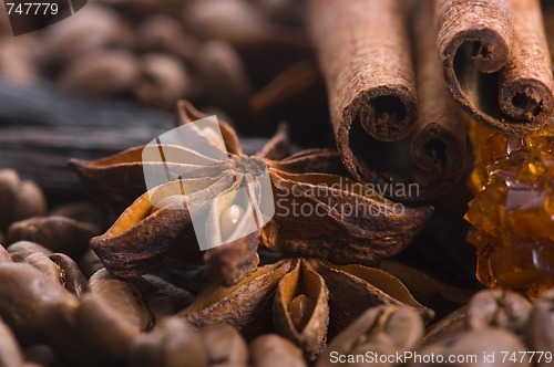 Image of aroma coffe. ingredients. coffe beens, anise, vanilla, cinnamon,