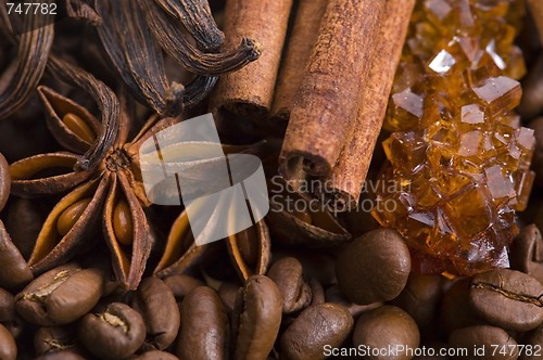 Image of aroma coffe. ingredients. coffe beens, anise, vanilla, cinnamon,
