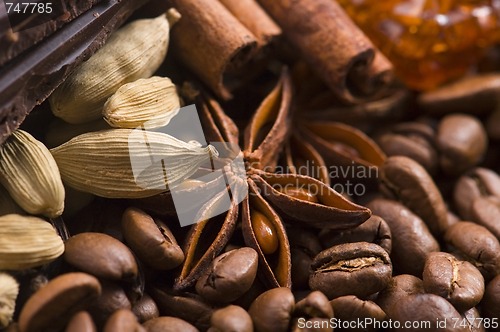 Image of aroma coffe. ingredients. coffe beens, anise, chocolate, cardamo