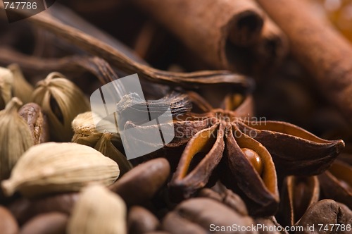 Image of aroma coffe. ingredients. coffe beens, anise, vanilla, cardamon,