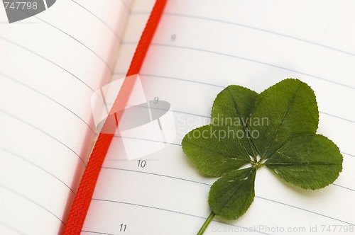 Image of Four Leaf Clover and New Day