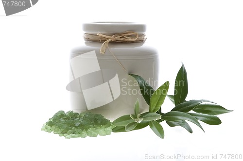 Image of fresh olive branch and bath salt. spa