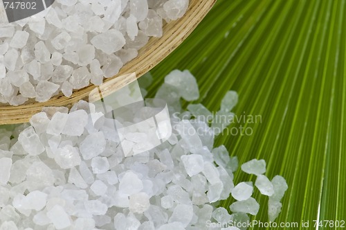 Image of bath salt and palm leaf