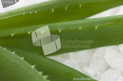 Image of bath salt and aloe vera