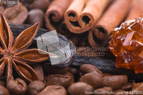 Image of aroma coffe. ingredients. coffe beens, anise, vanilla, cinnamon,