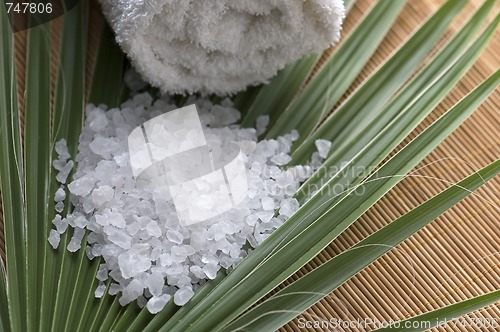 Image of bath salt and palm leaf