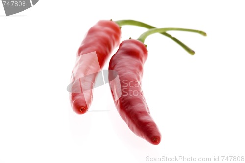 Image of hot chilli peppers isolated on white