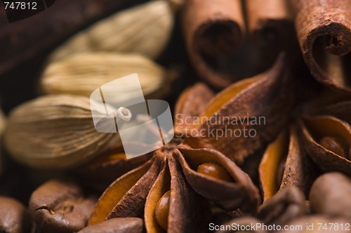 Image of aroma coffe. ingredients. coffe beens, anise, vanilla, cardamon,