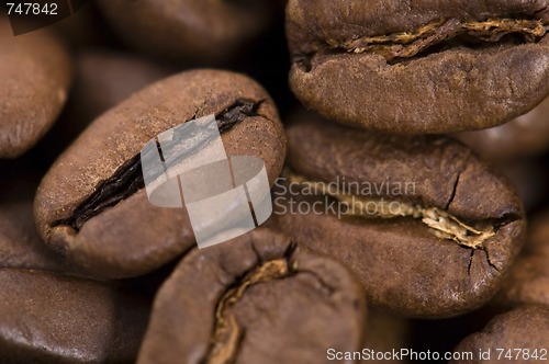 Image of coffe beans