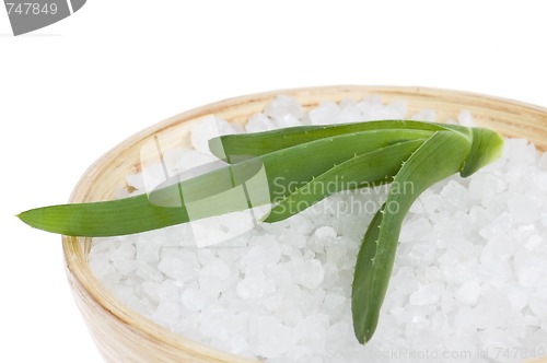 Image of bath salt and aloe vera