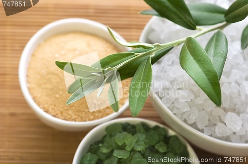 Image of fresh olive branch and bath salt. spa