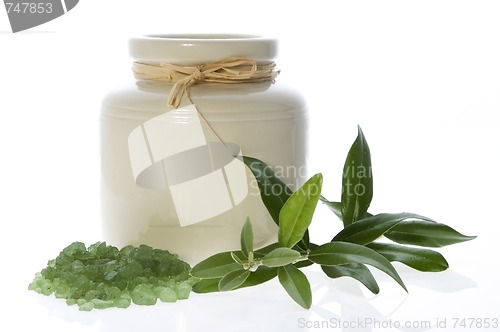 Image of fresh olive branch and bath salt. spa