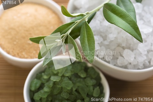 Image of fresh olive branch and bath salt. spa