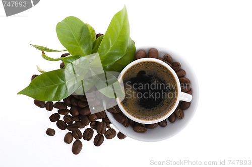 Image of fresh coffee with coffee branch