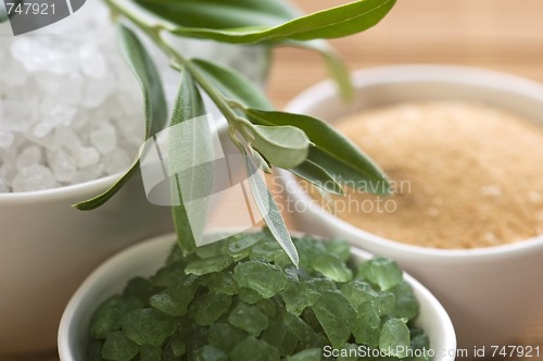 Image of fresh olive branch and bath salt. spa